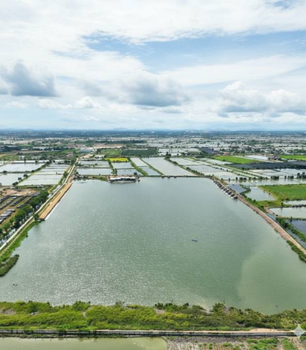 ที่นี่ไม่ใช่แค่ “บึงตกปลา”